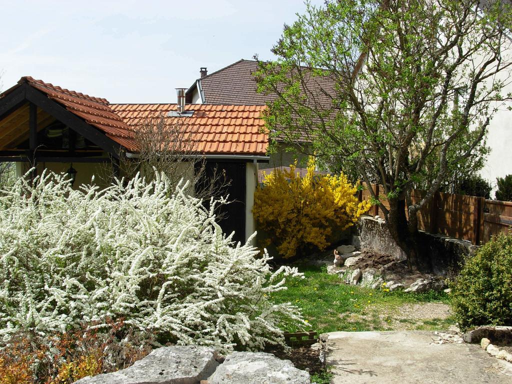 Chambres D'Hotes "Les Chiens Verts", Jardin, Terrasse, Parking Prive Hauteville-Lompnes Exterior foto